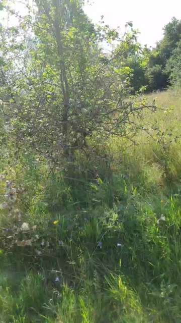 geilerjung69  08-09-2021 Recorded Video XXX